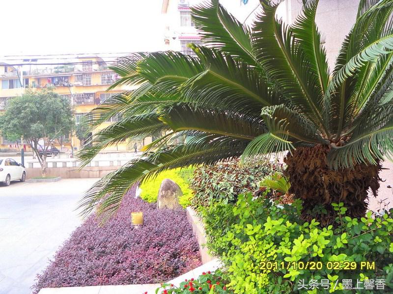 怡人的景色视频,怡人的风景美景