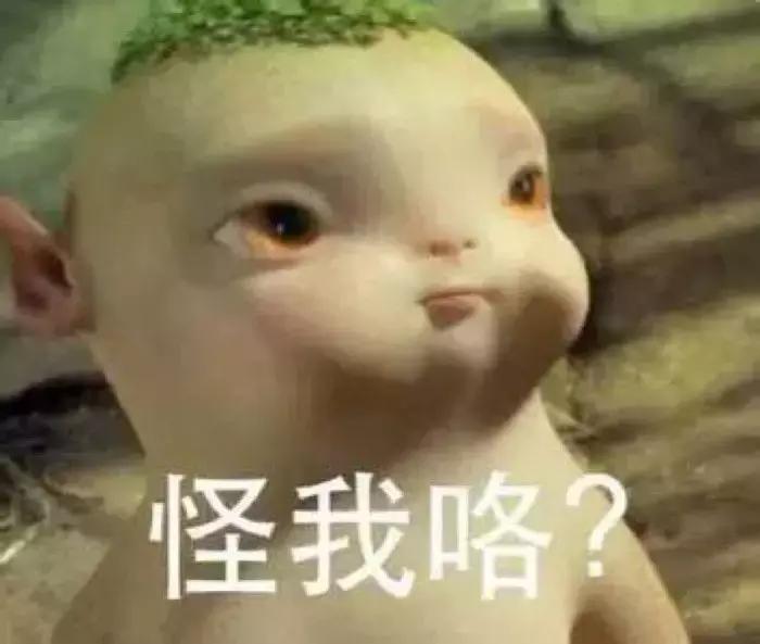 大开眼界男子花14万从越南买老婆还帮人“代购”