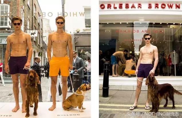 polo衫的品牌有哪些,polo衫男品牌正品价格