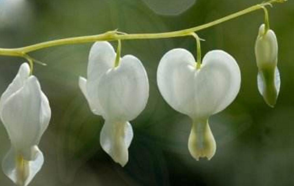 做人要有随遇而安的心态,做人进退有度随遇而安