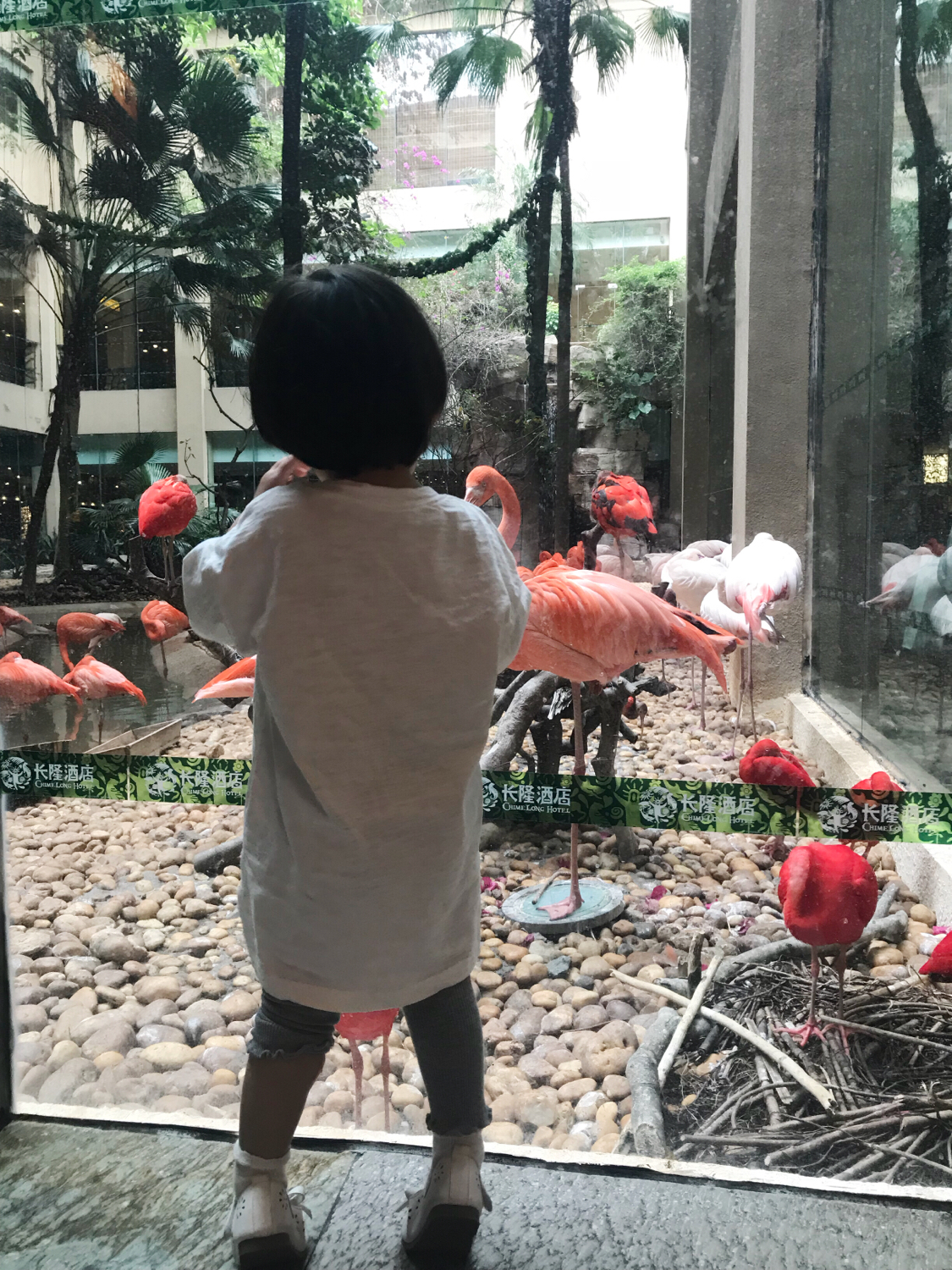 长隆酒店亲子游攻略,广州长隆酒店早餐攻略