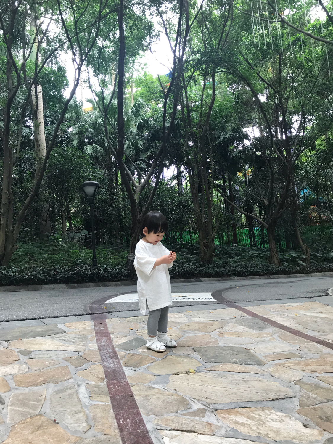 长隆酒店亲子游攻略,广州长隆酒店早餐攻略