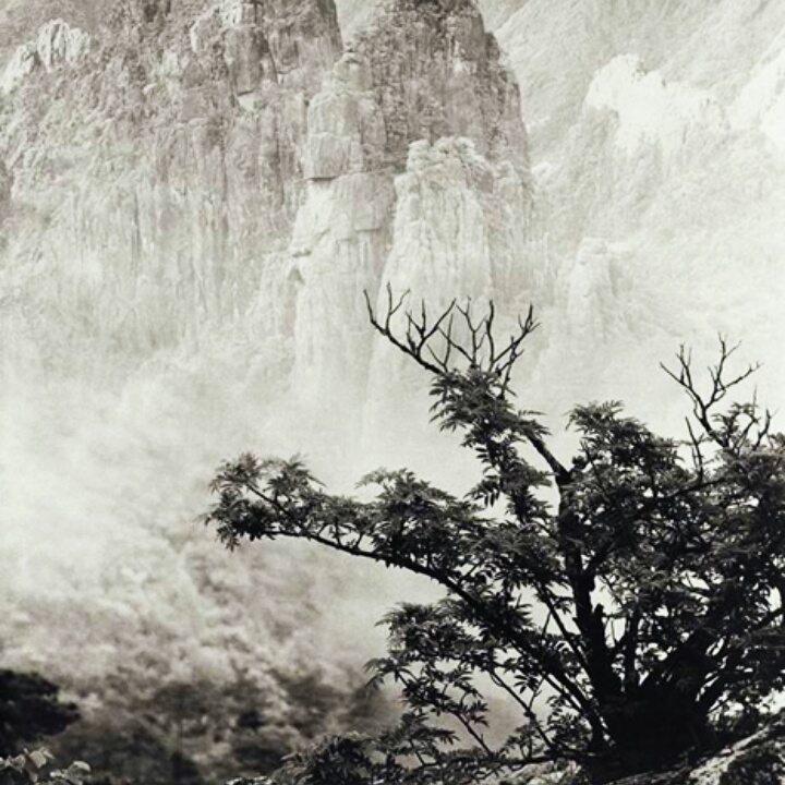 千年武术基本功,道家最高级的内家拳心法