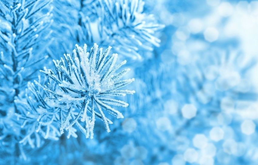 魏子昌经典诗词,魏子昌律诗全集