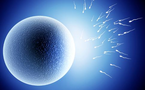女性排卵期同房怀孕几率，排卵期同房不孕原因