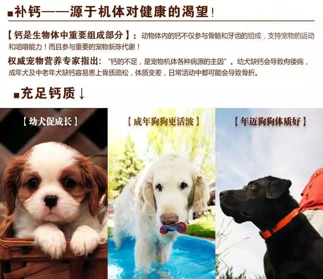 吃好狗粮还需要其他营养么,狗狗吃什么钙片能补钙效果好