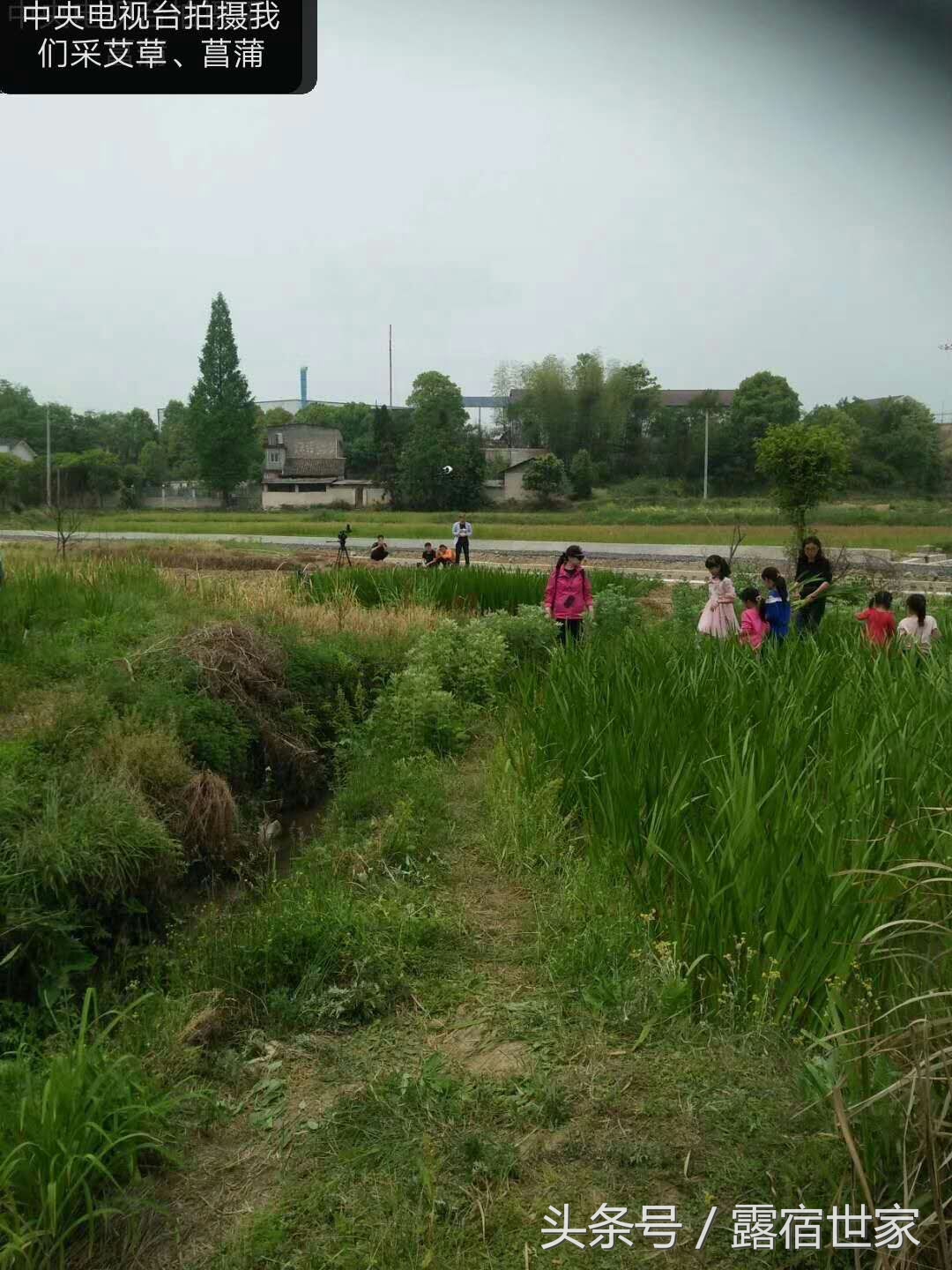 有治头晕耳鸣的西药没有,用菖蒲塞耳内能治耳鸣吗