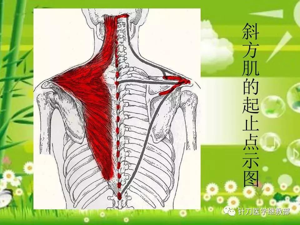颈椎肌肉损伤用小针刀治疗,针刀治疗颈椎导致神经损伤