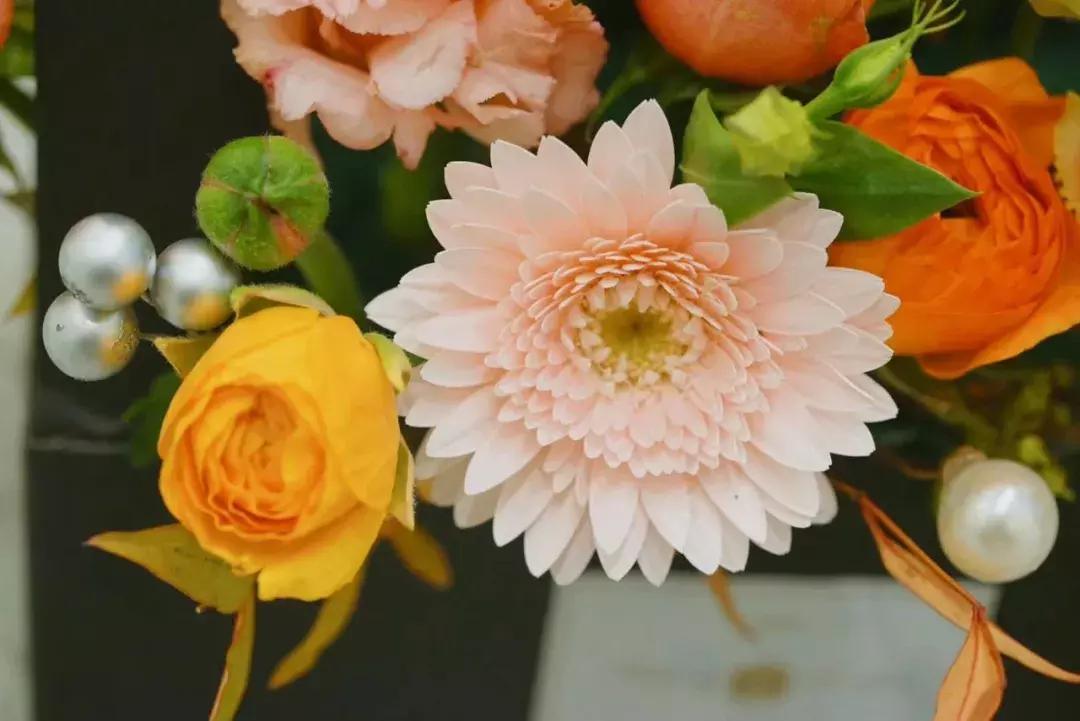 不爱回家探店,北京网红花店有哪些