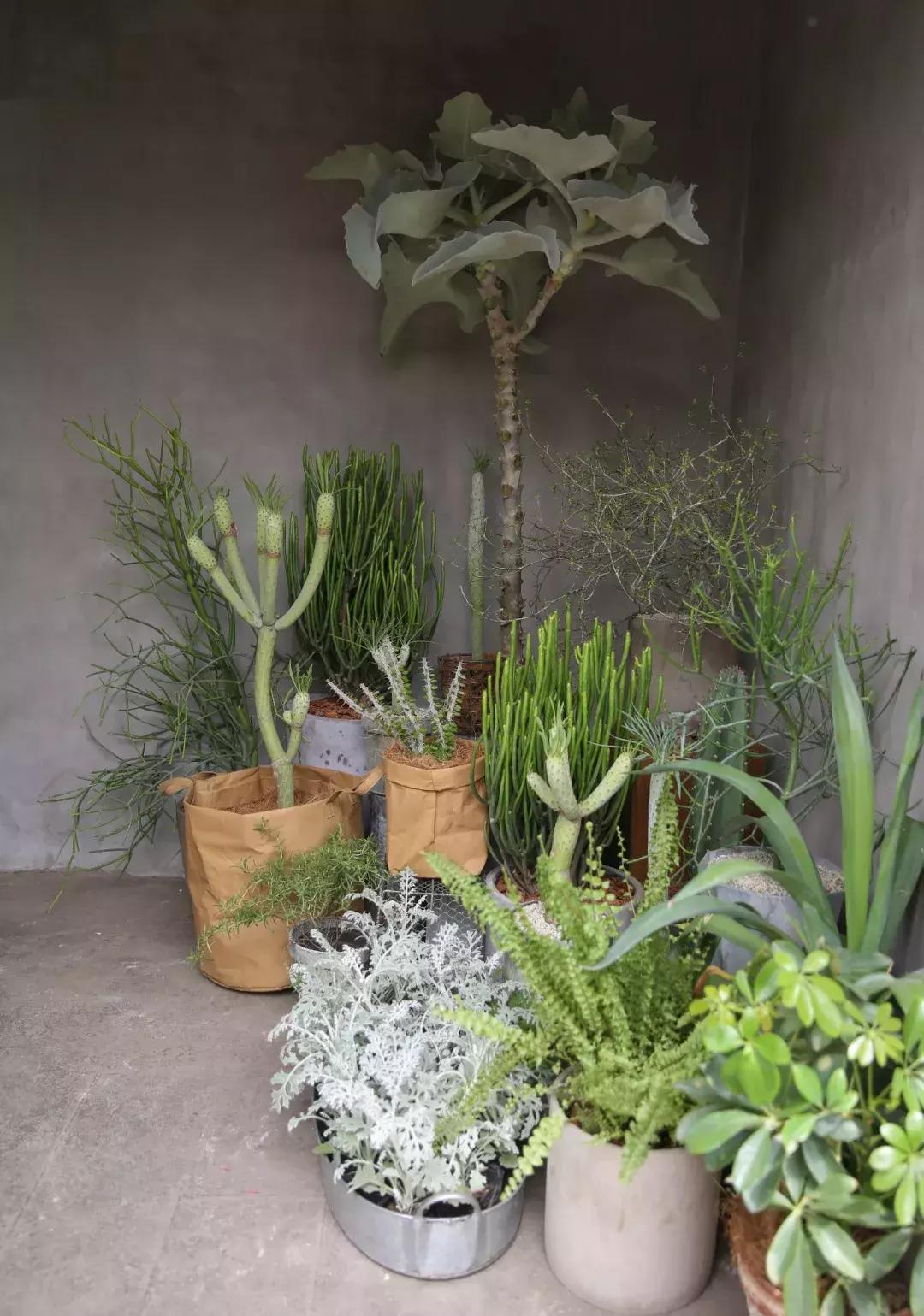 不爱回家探店,北京网红花店有哪些