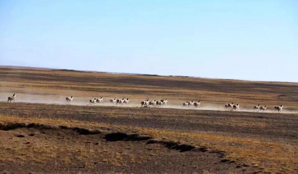 新疆罗布泊旅游攻略,新疆若羌探险