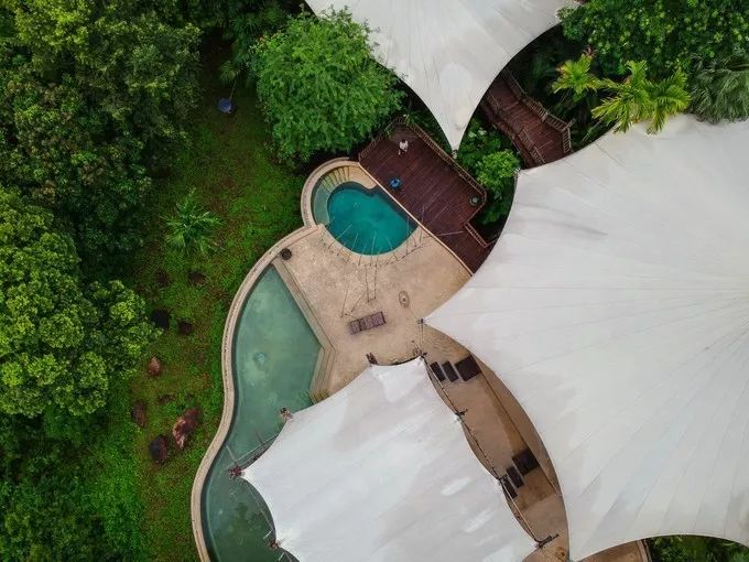 衣冠不整恕不招待厨师,衣冠不整不让进的饭店