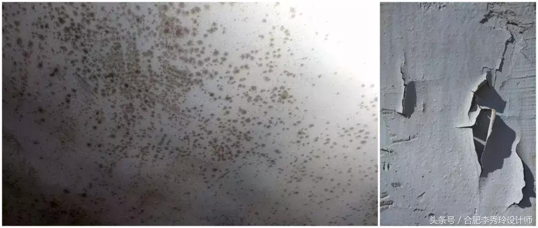 顶上没刷底漆会出现发霉吗,墙面发霉翻新需要刷底漆吗
