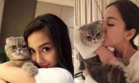 跑男团成员的宠物有哪些,跑男团更宠谁