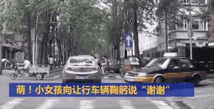 如何看待董卿跪地采访,董卿节目中三次下跪