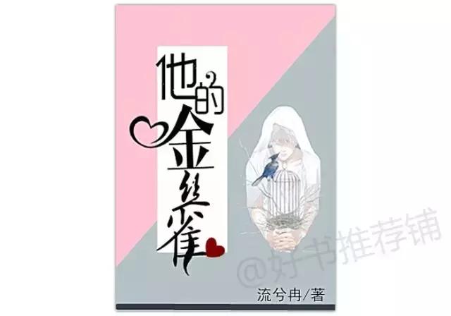 10本好看小说,10本好看的言情小说