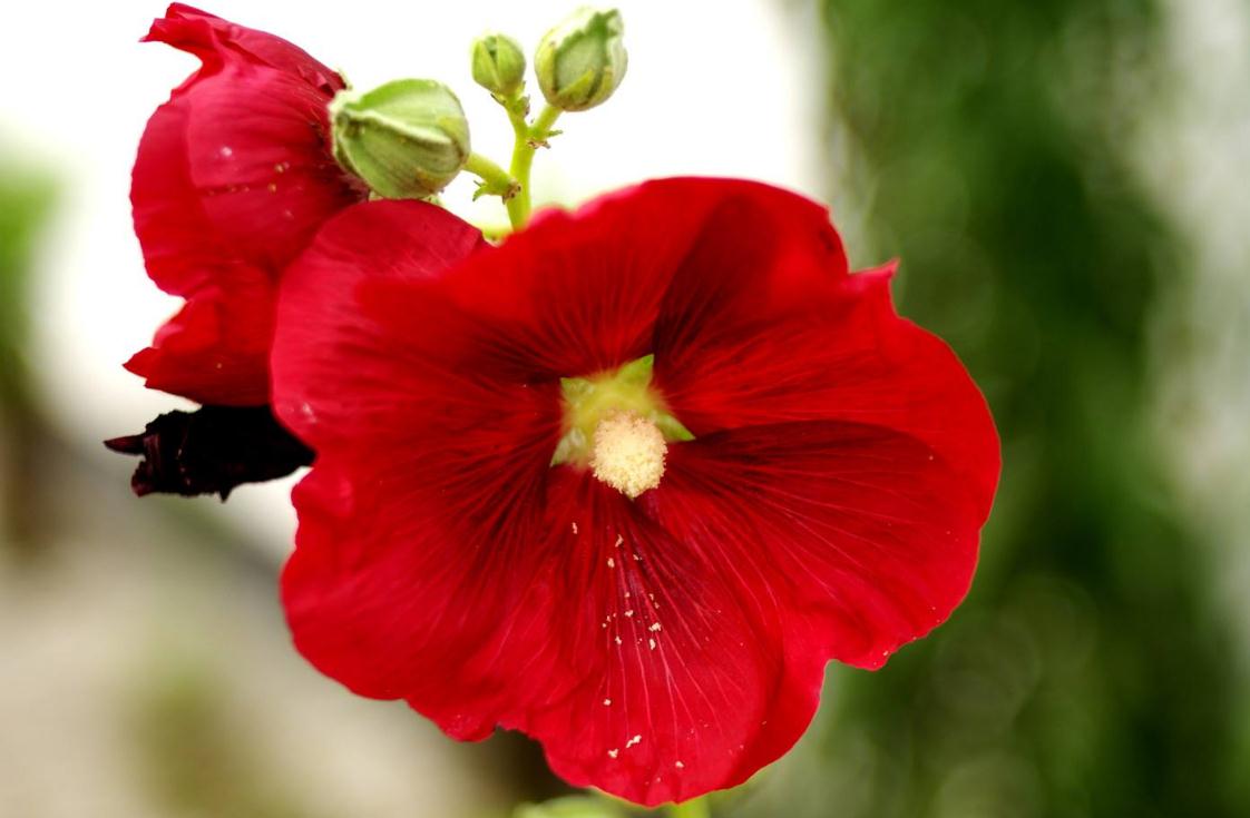 一个人身上透露这3个危险的信号,体内带毒是啥