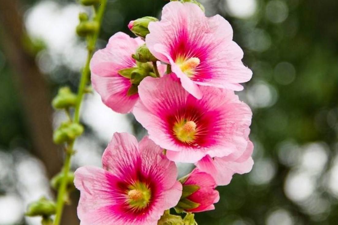 一个人身上透露这3个危险的信号,体内带毒是啥