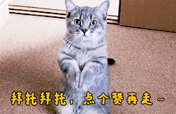 知识贴和知识帖,驾驶证满12分开车抓到怎么办