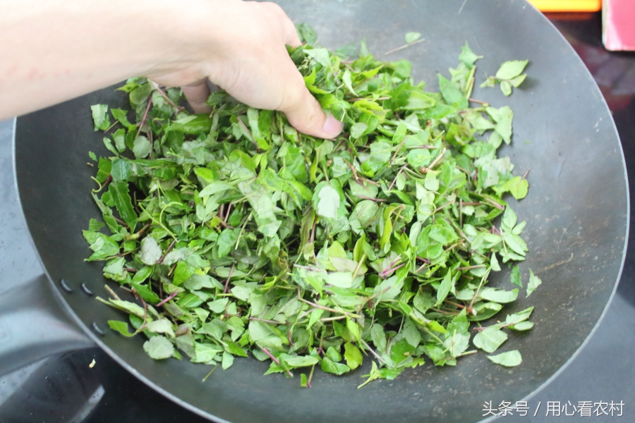 深山好茶古法制作,野生高山茶如何制作的好喝