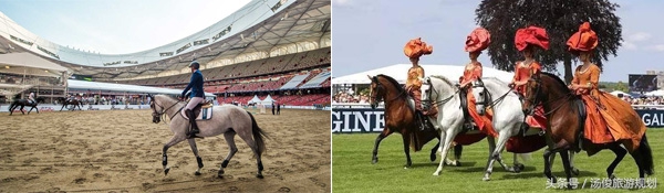 骑马旅游项目经营,马术商业模式