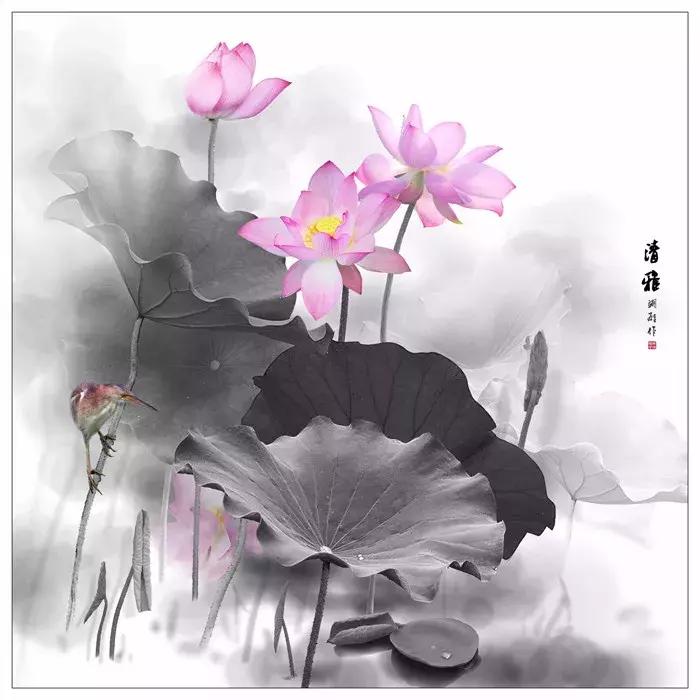 莲子古诗,有关莲的古诗100首