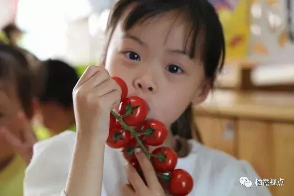 南京栖霞区有哪些好学校,栖霞区哪个学校最好