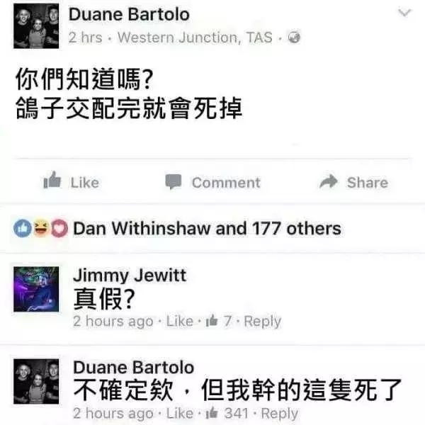 你知道吗鸽子交配完会死……