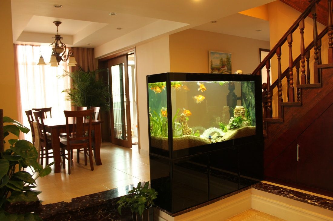 鱼缸别扔,鱼缸放石头的禁忌