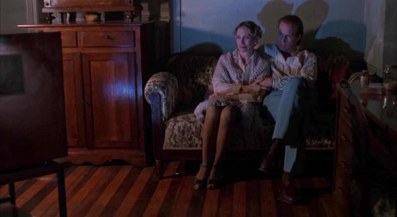 《蜘蛛女之吻》：这部悲伤的同志电影浪漫得要死！