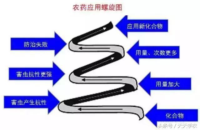 柑橘重点防治锈壁虱红蜘蛛,柑橘红蜘蛛与锈壁虱是螨类吗