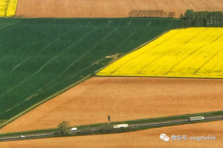 《上海女子图鉴》的昔日女二号霸主刘孜，如今转型做设计师