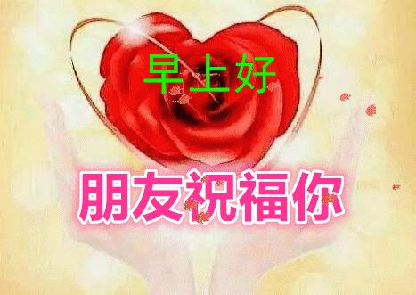 早安鲜花美图图文,最新鲜花早安动态图片