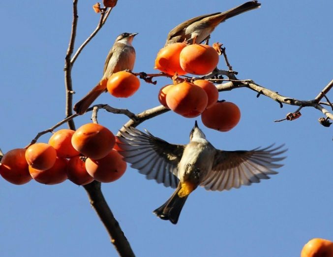 美文美图视频朗读,美文美图欣赏集锦