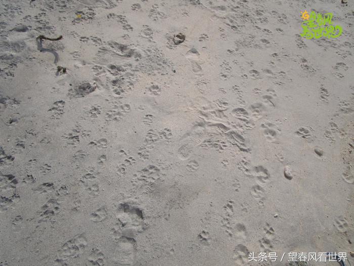 手绘旅行,东山岛旅游手绘游记