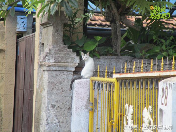 手绘旅行,东山岛旅游手绘游记