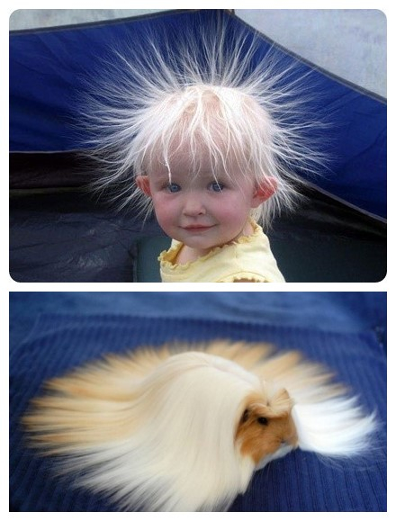 那么多去油去屑防枯草的洗发水,总有一款适合你