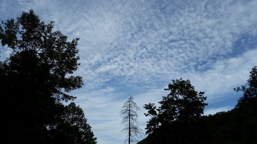 天华山-秦岭梁，又一条风景秀美的一日劲走线路