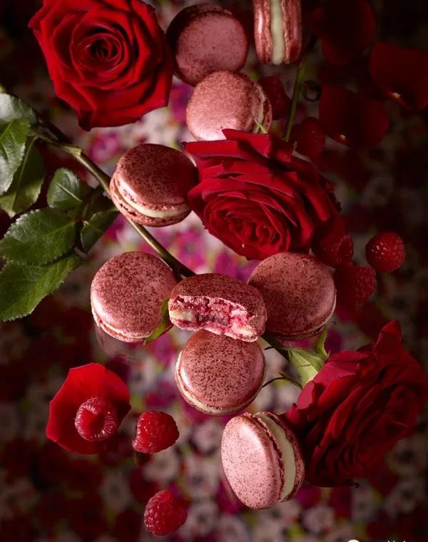 周游世界吃遍美食 (一边旅行一边烹饪)