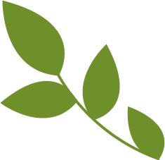 准妈妈优生优育检查,莱州准妈妈