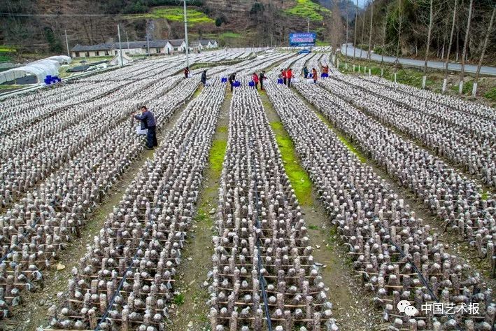汶川大地震志愿者影集,汶川十年影像