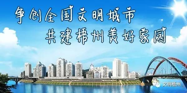 广西梧州平时有什么节目活动,梧州市文化广电体育和旅游