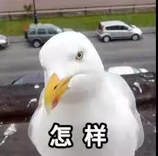 男子被酒店拉黑,男子在走廊上晒香肠