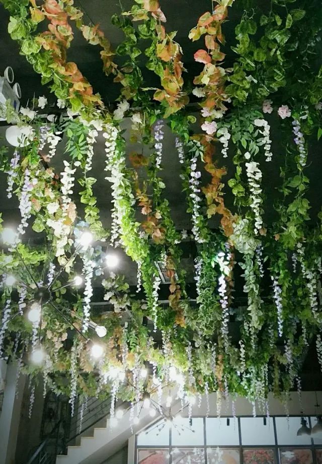 鸭脑壳飞绍兴,鸭脑壳飞汉南