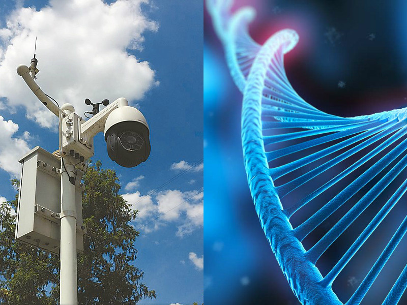 高云翔案为何被判无罪,高云翔案终审时间