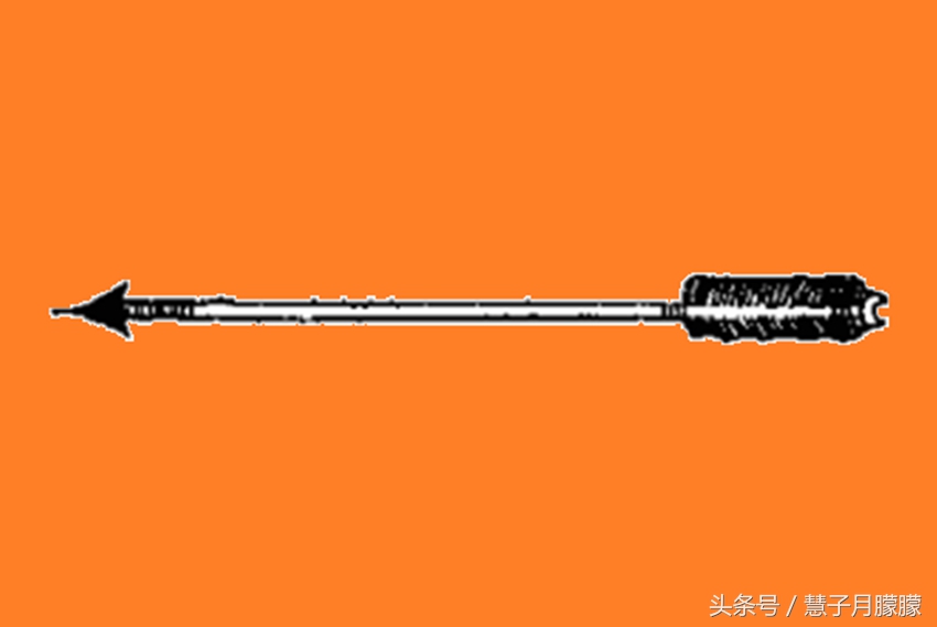 古代箭多厉害？一种专门射马，一种一箭贯穿二甲兵，一种射中则死