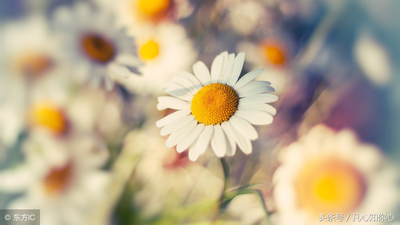 那天，我上了恶魔的车