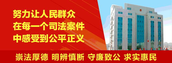 执行利剑深度解析,执行利剑是什么