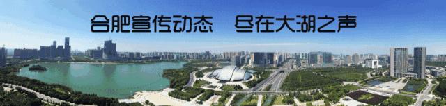 净网2019重拳打击涉网违法犯罪,净网2019严查网络犯罪