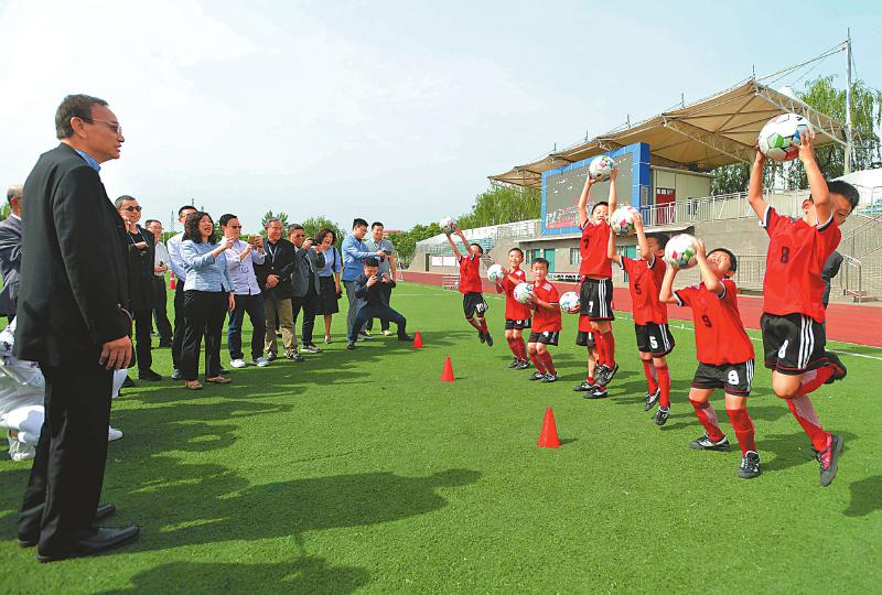 海外侨胞回国考察,港澳台同胞参观成都大熊猫基地